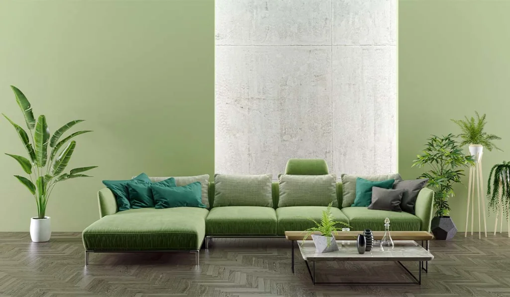 Soothing Impact with Pista Green Colour Combination